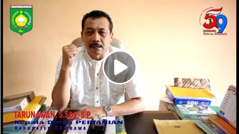 Ucapan HUT ke-59 Kabupaten Sumbawa oleh Kepala Dinas Pertanian Kab. Sumbawa