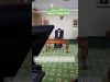 Menteri Agama Republik Indonesia