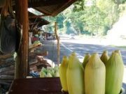 Tiga Pesona Wisata Kuliner Yang Wajib Anda Kunjungi