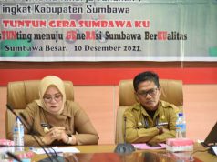 Perkuat Komitmen Percepatan Penurunan Stunting, Pemda Gelar Review Kinerja Tahunan