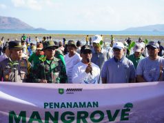 MELESTARIKAN EKOSISTEM PESISIR DAN MENCEGAH ABRASI PANTAI, PJS BUPATI SUMBAWA AJAK WARGA TANAM MANGROVE