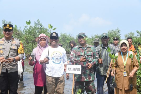 POTENSI PULAU KAUNG SANGAT LUAR BIASA DI BIDANG PERIKANAN DAN KELAUTAN