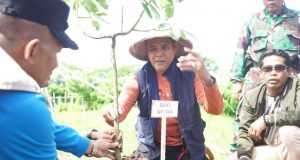 SUMBAWA HIJAU LESTARI: SAATNYA MENJAGA HUTAN, MENJAGA MASA DEPAN SUMBAWA