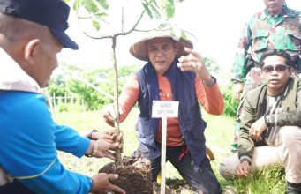SUMBAWA HIJAU LESTARI: SAATNYA MENJAGA HUTAN, MENJAGA MASA DEPAN SUMBAWA