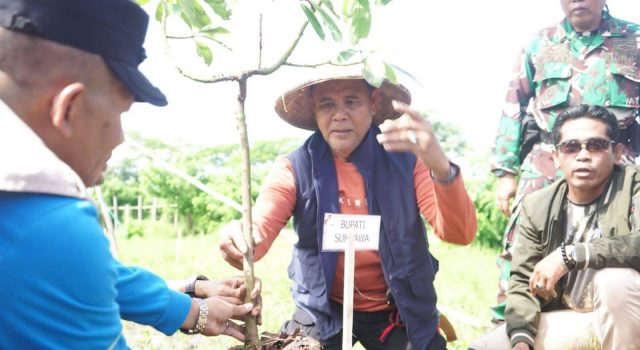 SUMBAWA HIJAU LESTARI: SAATNYA MENJAGA HUTAN, MENJAGA MASA DEPAN SUMBAWA