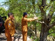 Bupati Sumbawa Tinjau Persiapan Sekolah Rakyat dan Progres Jalan Menuju Batalyon Kerekeh