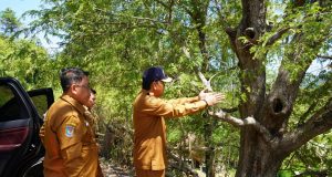 Bupati Sumbawa Tinjau Persiapan Sekolah Rakyat dan Progres Jalan Menuju Batalyon Kerekeh